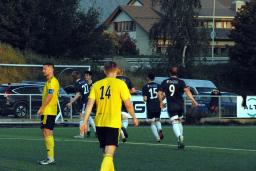 Varfjell - Tomrefjord 2023